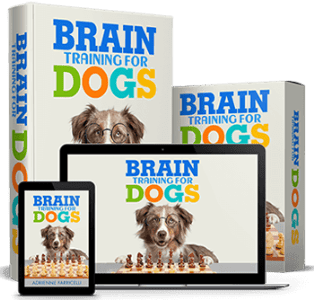 Brain Training for Dogs Review