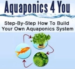 Aquaponics 4 You